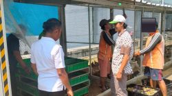 Lapas Salemba Kembangkan Budidaya Maggot, Dukung Ketahanan Pangan dan Kurangi Sampah Organik