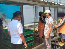 Lapas Salemba Kembangkan Budidaya Maggot, Dukung Ketahanan Pangan dan Kurangi Sampah Organik